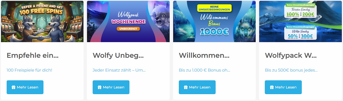 Wolfy Casino Boni und Aktionen